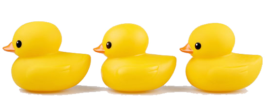ducks-in-a-row-three.jpg